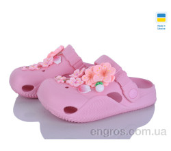 Кроксы Golden Lion